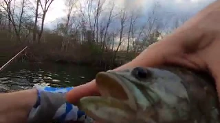 Wacky Worm Bass Fishing