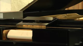 Welte-Mignon Liszt