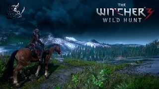 The Witcher 3: Wild Hunt [#23] Чёрная Мара