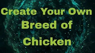 How to make your own Chicken Breed 🐔