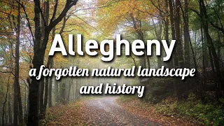 Allegheny National Forest (Pennsylvania)