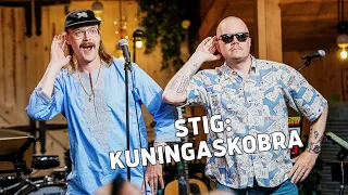 STIG – Kuningaskobra | Vain elämää