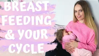 BREASTFEEDING WHEN YOUR PERIOD COMES BACK POSTPARTUM | NURSING AFTER YOUR MENSTRUAL CYCLE RESUMES