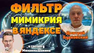 Причины наложения фильтра мимикрия в Яндексе и что делать для его снятия