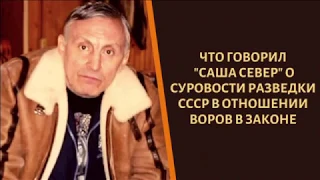 Что говорил "Саша Север" об отношении разведки к ворам в законе!