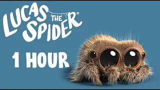 Lucas the Spider +1 Hour