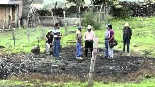 Secta Nueva Jerusalen Mexico