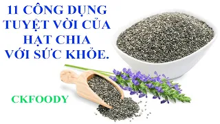 11 CÔNG DỤNG TUYỆT VỜI CỦA HẠT CHIA VỚI SỨC KHỎE.(Ckfoody)