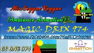 Mix 2021 Seggae Reggae ( Ambiance Animation ) @GS-ONE974 @MAGICDRIX974OFFICIEL