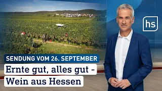 Ernte gut, alles gut - Wein aus Hessen | hessenschau vom 26.09.2023