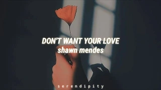 Shawn Mendes- Don't Want Your Love ▪︎sub español▪︎