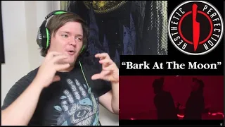 Aesthetic Perfection - Bark At The Moon // REACTION