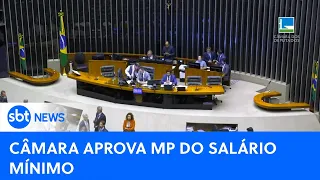 Medida provisória do salário mínimo é aprovada na Câmera dos Deputados | #SBTNewsnaTV(24/08/23)