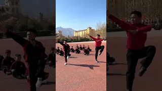 Shaolin : wu bu quan together