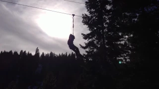 Cole at Tree Top Adventures