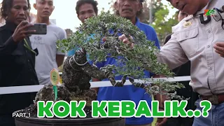 KESALAHAN YANG SERING DI LAKUKAN PEMULA DISAAT PAMERAN