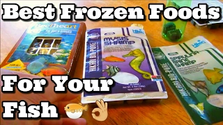 Best Frozen Foods To Feed Your Fish