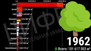 СРАВНЕНИЕ СТРАН ПО ПРОИЗВОДСТВУ ЛЕСА (1961-2018) [ИНФОГРАФИКА]