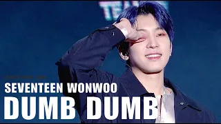 220326 세븐틴 원우 캐럿랜드 DUMB DUMB 직캠 4K