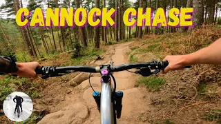 Cannock Chase Mountain Biking - A Guide To The Best Trails