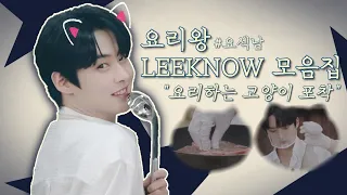 🍽요리왕 리노 모음집🍴 (세계 최초 요리하는 만능 고양이 포착🐱)