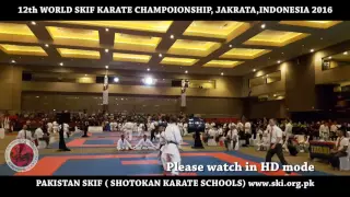 12th SKIF World championship Semin final Indonesia Male kumite