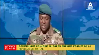 URGENT: LE MALI DECLARE LA GUERRE A LA CEDEAO EN CAS D'OPERATION MILITAIRE CONTRE LE NIGER