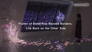 Flutter of Butterflies Beyond Borders, Life Born on the Other Side