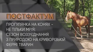 Прогулянка на конях - не тільки мрія: сезон возз'єднання з природою на криворізькій фермі тварин