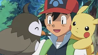 UK: Ash’s Starly evolves! | Pokémon: Diamond and Pearl | Official Clip