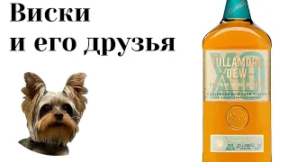 Дегустация Tullamore Dew XO Caribbean Rum