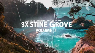 STINE GROVE VOL. 2 X3 [Mini Mix]