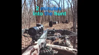 12 yr. Old GIRL shoots first bear with a crossbow from the ground (full vid. in descrip.)