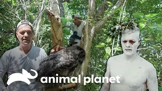 Las mejores aventuras de Frank en México | Wild Frank | Animal Planet