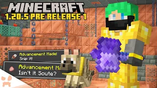 MACE RUINED, Update Done, New Chambers!! | Minecraft 1.20.5 Pre Release 1