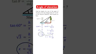 Angle of Elevation Word Problem with Trigonometry #trigonometry