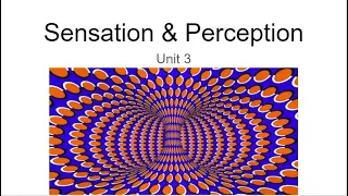 AP Psychology - Unit 3: Sensation & Perception, Part 1: Sensation vs Perception