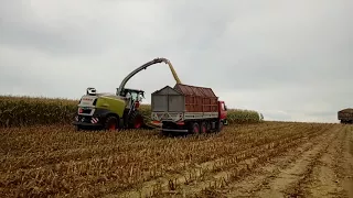 Class Jaguar 980/Tatra 815/sillózás 2017