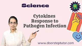 Cytokines (Search and Destroy) Response to Pathogen Infection | Cytokine Storm | Covid-19