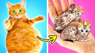 Consejos para padres de MLL a su gato en La La Vida Juegos