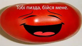 НАХ**Я Я ЭТО КУПИЛ!?!?!(треш игра Tomato way)