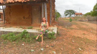 OS DOIS PÉS DE TAMARINDO DA CASA DOS MEUS AVÓS.