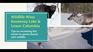 Wildlife Wise - Kootenay Lake and Lower Columbia