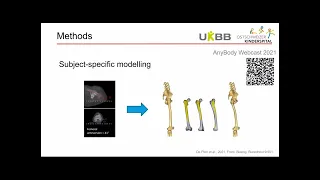 Femoral anteversion in children -  can musculoskeletal modeling better inform clinical decisions?