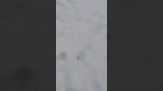 Boso przez śnieg