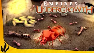 ON TENTE UNE NOUVELLE STRATÉGIE ! (Empires of the Undergrowth #6)
