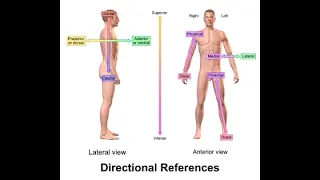 Lab Practical 1 Review