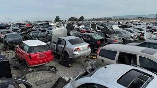 Tour of Mercedes-Benz BMW Audi Section at Junkyard in California