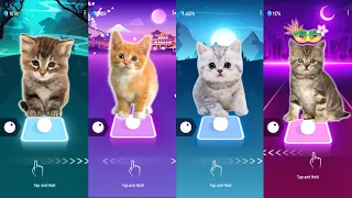 CUTE CAT BLACKPINK JISOO FLOWER vs FIFTY FIFTY CUPID vs LISA MONEY BLACKPINK and BTS MIC DROP