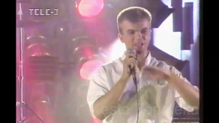 ZVAIGZDZIU SPINDESYS  - baltosios rozes (pop tv 1995)